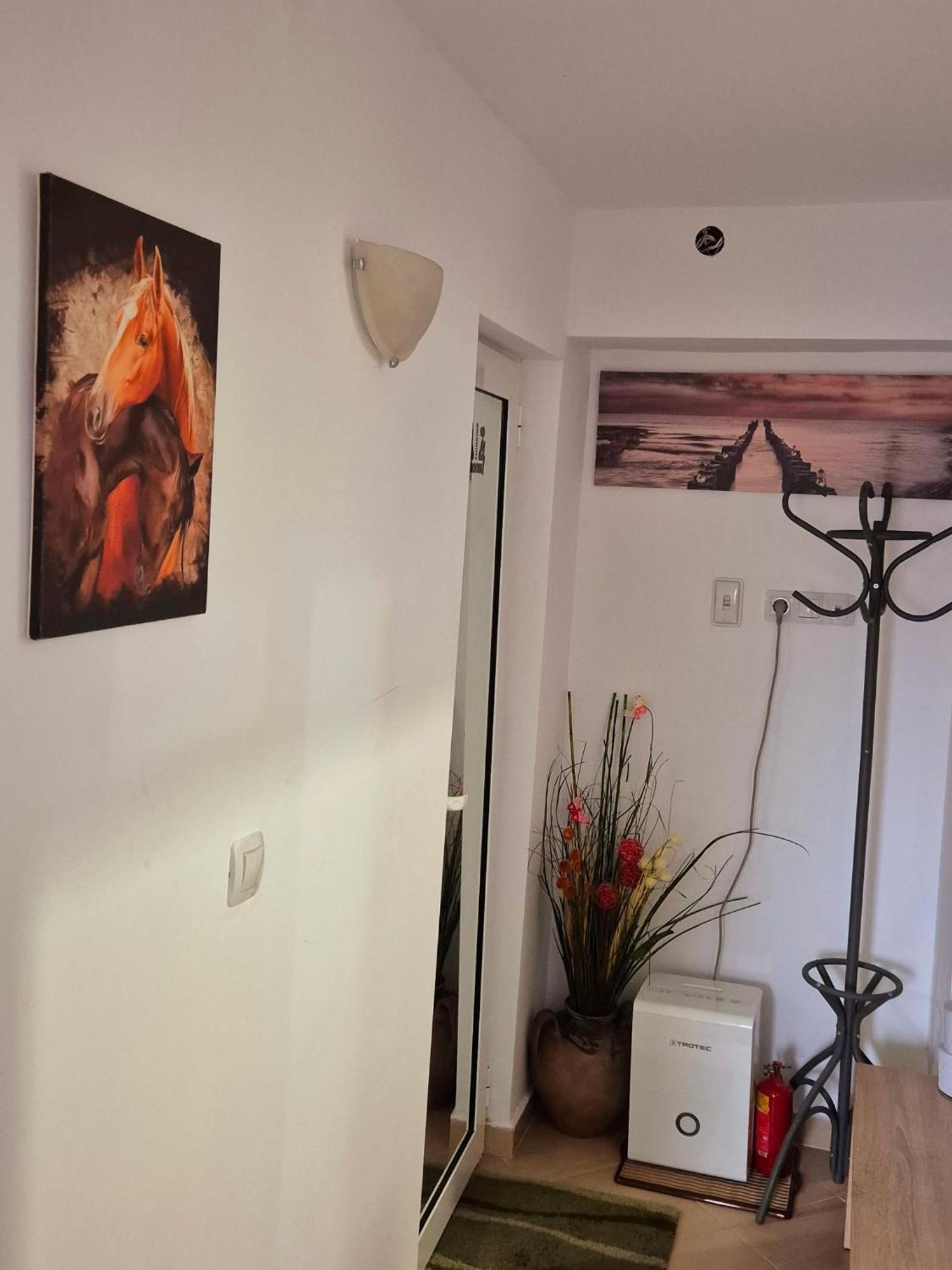 Apartment Shesti Uchastak Gabrovo Bagian luar foto