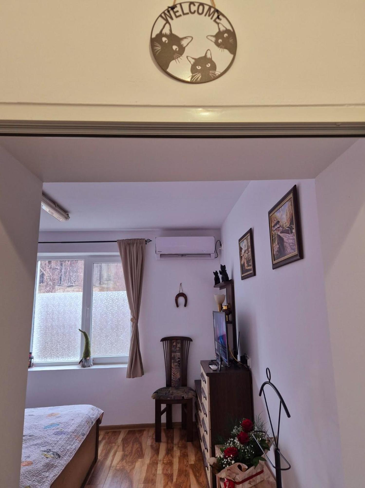 Apartment Shesti Uchastak Gabrovo Bagian luar foto